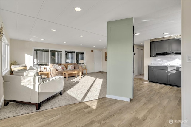 living room with light hardwood / wood-style floors and a healthy amount of sunlight