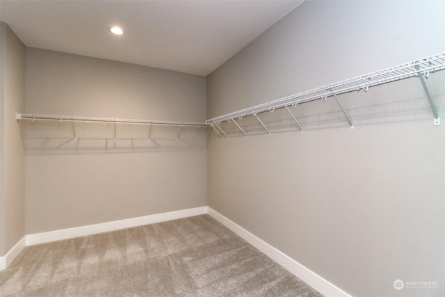 spacious closet with carpet