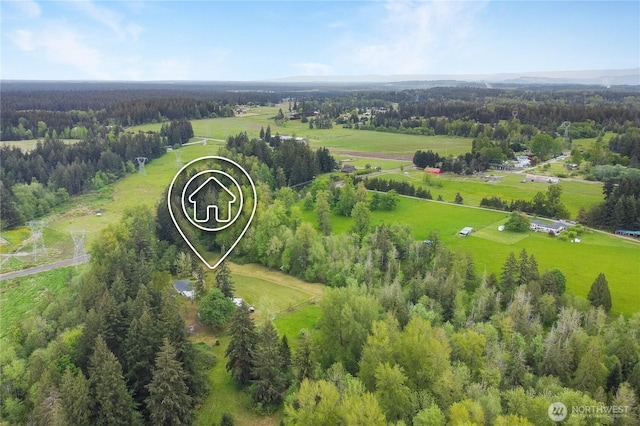 aerial view of a forest