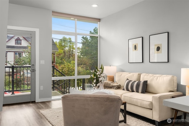 living room with hardwood / wood-style floors