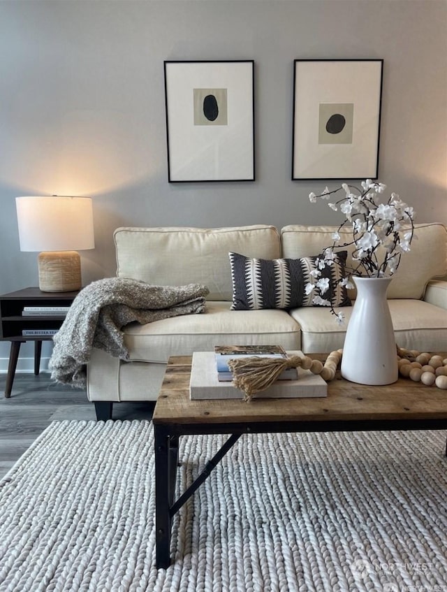 living room featuring hardwood / wood-style floors