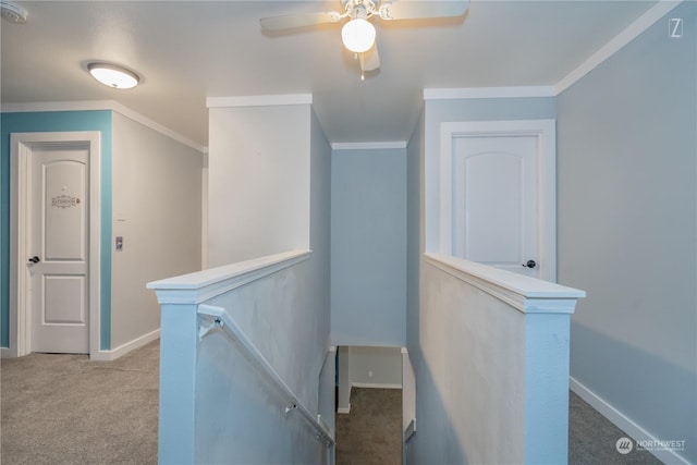 hall with light colored carpet and crown molding