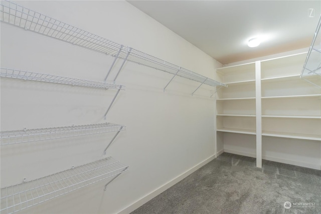 spacious closet with carpet floors