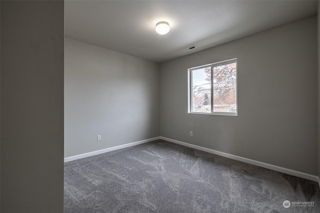 spare room featuring carpet floors