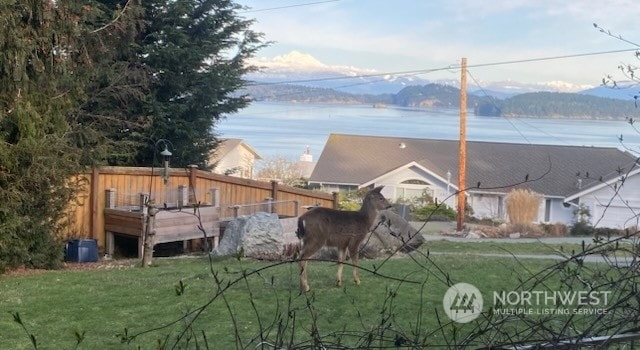 view of yard with a water and mountain view