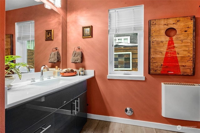 bathroom with hardwood / wood-style floors and vanity