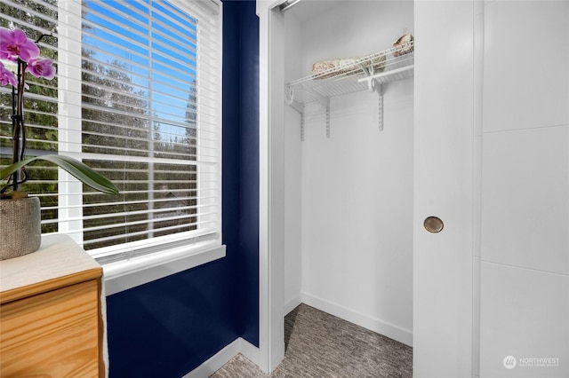 spacious closet featuring carpet flooring