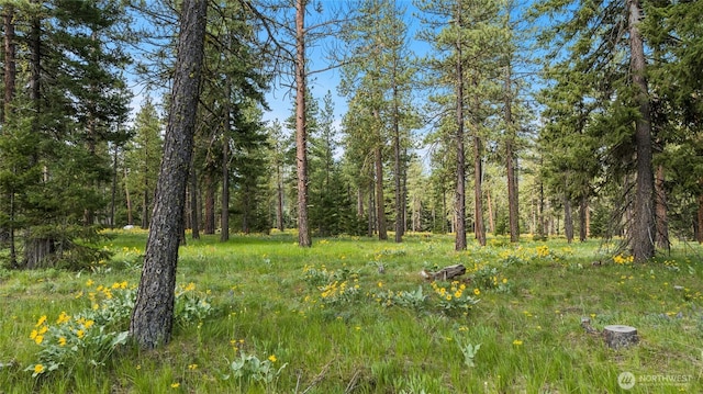71 Plateau Loop, Cle Elum, WA 98922 - view of tree filled area