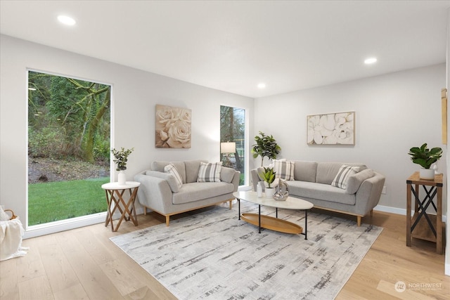 living room featuring light wood-type flooring