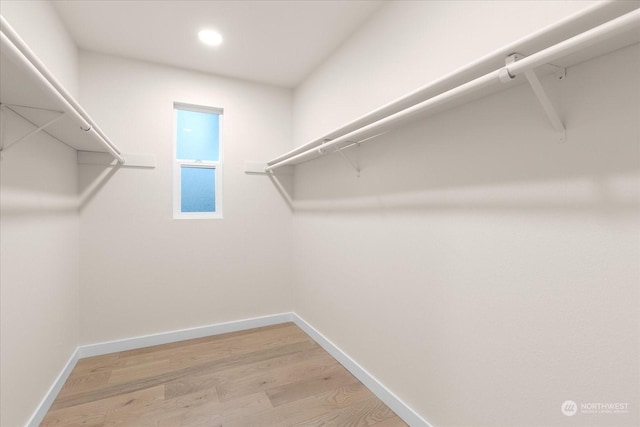 spacious closet featuring hardwood / wood-style flooring