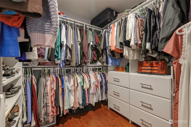 walk in closet featuring hardwood / wood-style floors