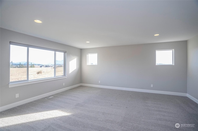 spare room featuring carpet floors