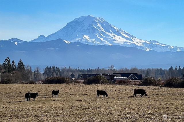 view of mountain feature with a rural view