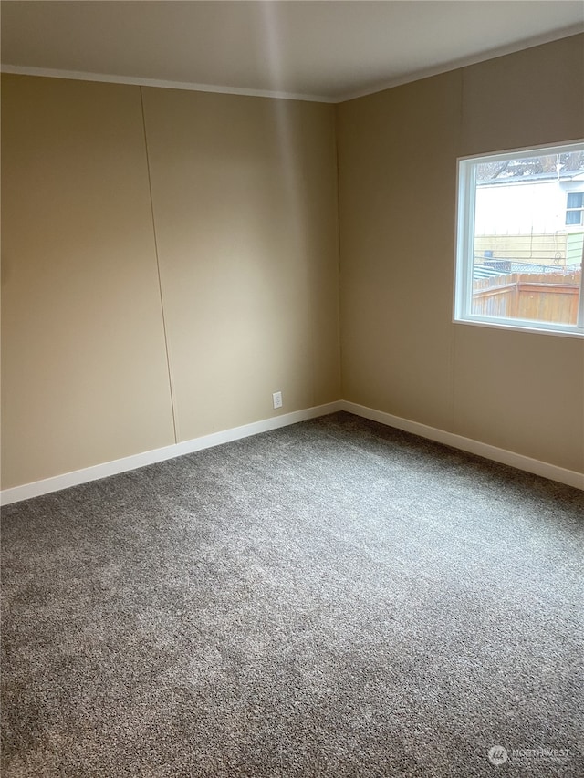 empty room with carpet and ornamental molding