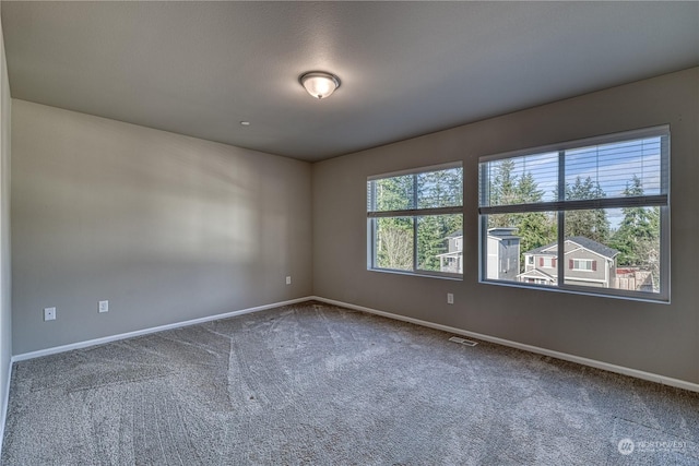 spare room with carpet flooring and a healthy amount of sunlight