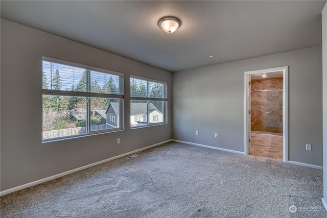 spare room featuring a healthy amount of sunlight and carpet floors