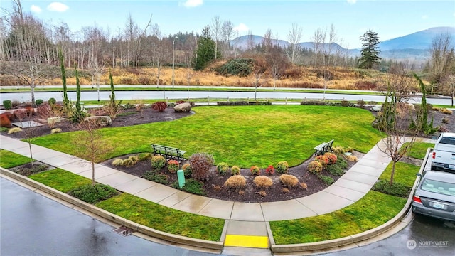 view of yard featuring a mountain view