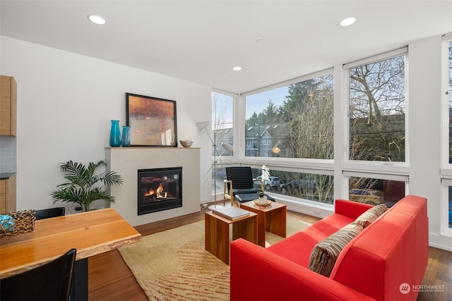 living room featuring hardwood / wood-style floors and a wall of windows