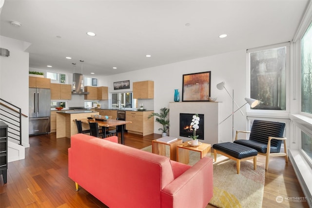 living room with dark wood-type flooring, a healthy amount of sunlight, and sink