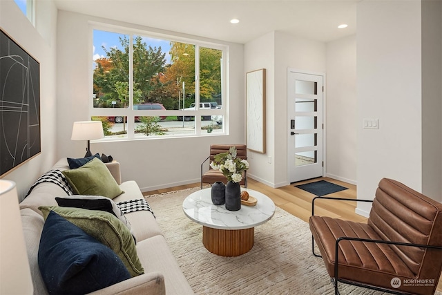 living room with light hardwood / wood-style floors