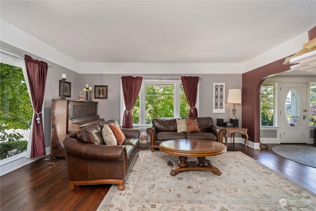 living room featuring hardwood / wood-style flooring and a healthy amount of sunlight