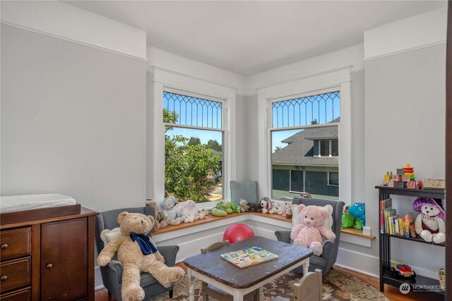 sitting room featuring hardwood / wood-style floors