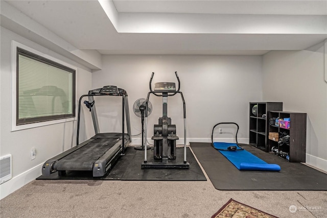 workout room featuring carpet floors