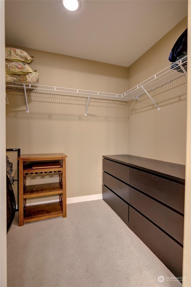 spacious closet featuring carpet flooring