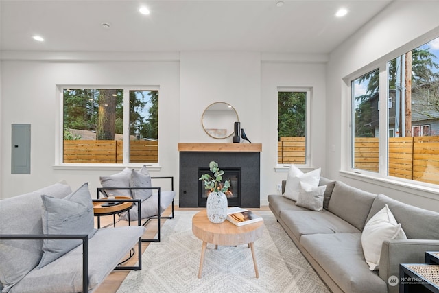 living room featuring electric panel and plenty of natural light