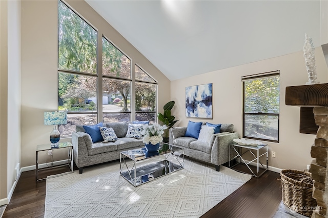 living room featuring hardwood / wood-style floors and high vaulted ceiling