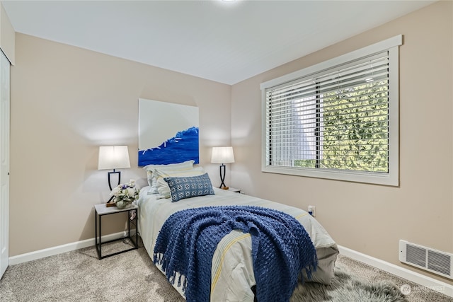 bedroom with carpet floors