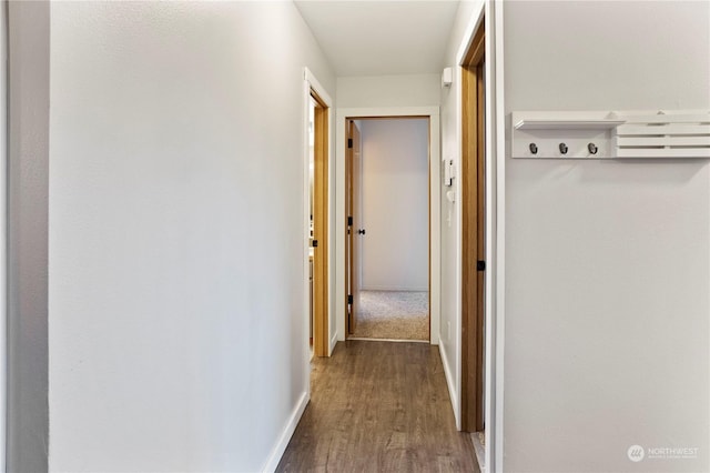 hallway with hardwood / wood-style floors