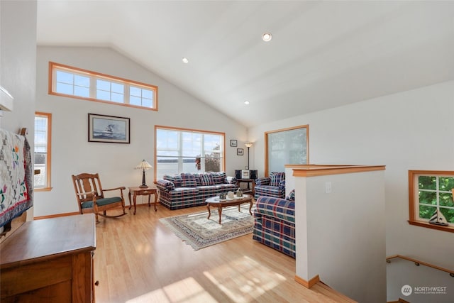 living room with high vaulted ceiling and light hardwood / wood-style flooring