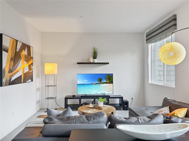 living room with carpet floors