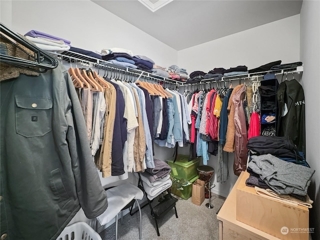 walk in closet featuring carpet flooring