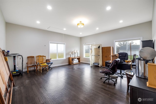 office featuring dark hardwood / wood-style flooring