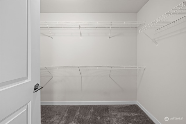 walk in closet with dark carpet