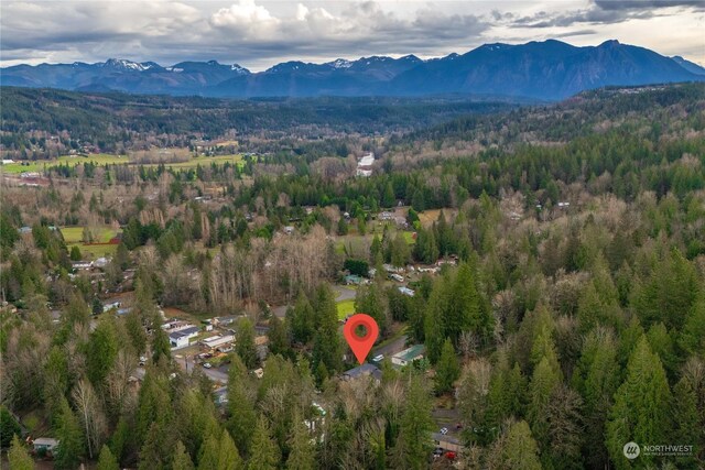 birds eye view of property featuring a mountain view