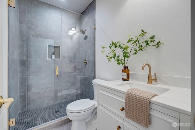 bathroom with vanity, toilet, and a shower with shower door