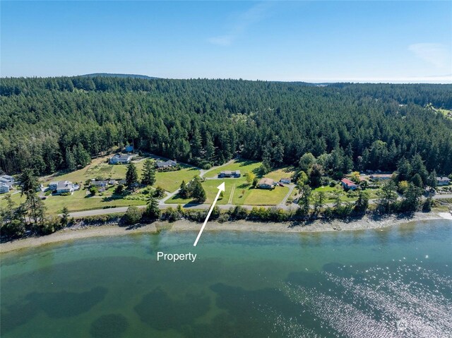 3699 Fisherman Bay Rd, Lopez Island, WA 98261 - photo 3
