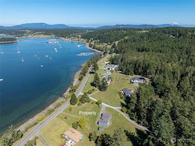 3699 Fisherman Bay Rd, Lopez Island, WA 98261 - photo 4