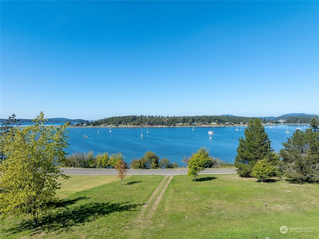 3699 Fisherman Bay Rd, Lopez Island, WA 98261 - photo 31
