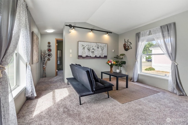 interior space featuring light colored carpet and lofted ceiling