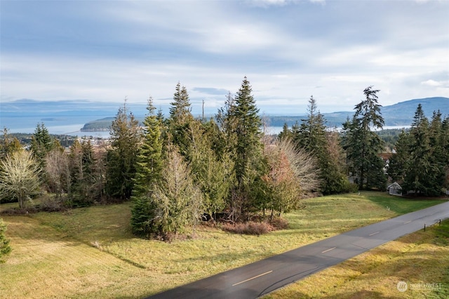 0 Elk Pass Rd, Sequim WA, 98382 land for sale