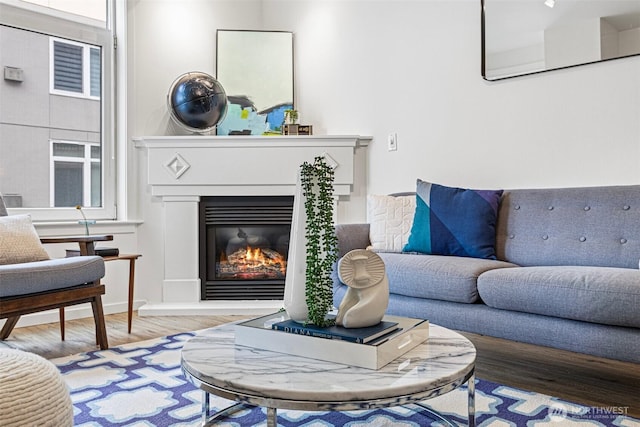 living room with wood finished floors and a glass covered fireplace