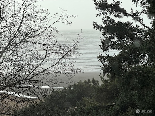 4757 State Route 109, Moclips, WA 98562 - mountain view with a nearby body of water