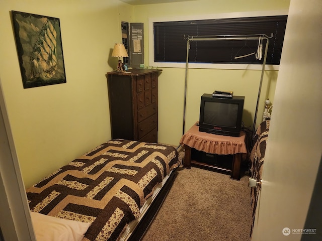 4757 State Route 109, Moclips, WA 98562 - view of carpeted bedroom