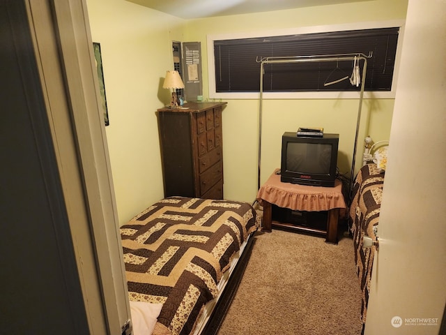 4757 State Route 109, Moclips, WA 98562 - view of carpeted bedroom