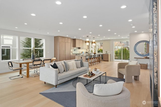 living room with light hardwood / wood-style floors and a healthy amount of sunlight