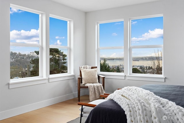 bedroom with hardwood / wood-style flooring